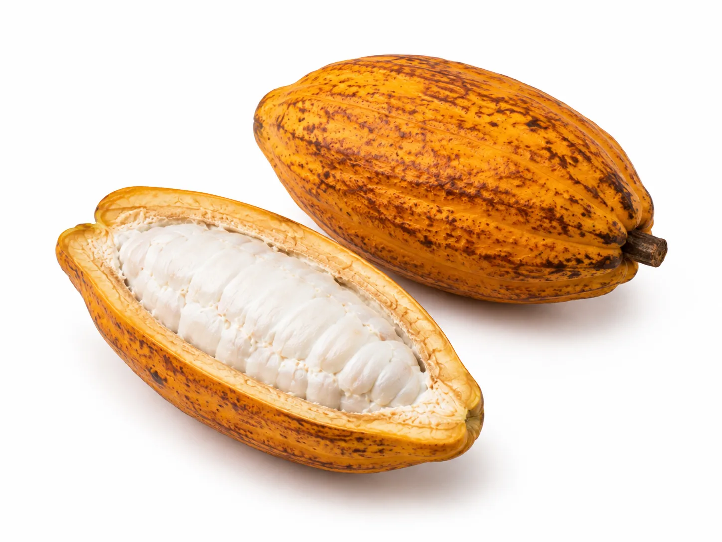 Cacao