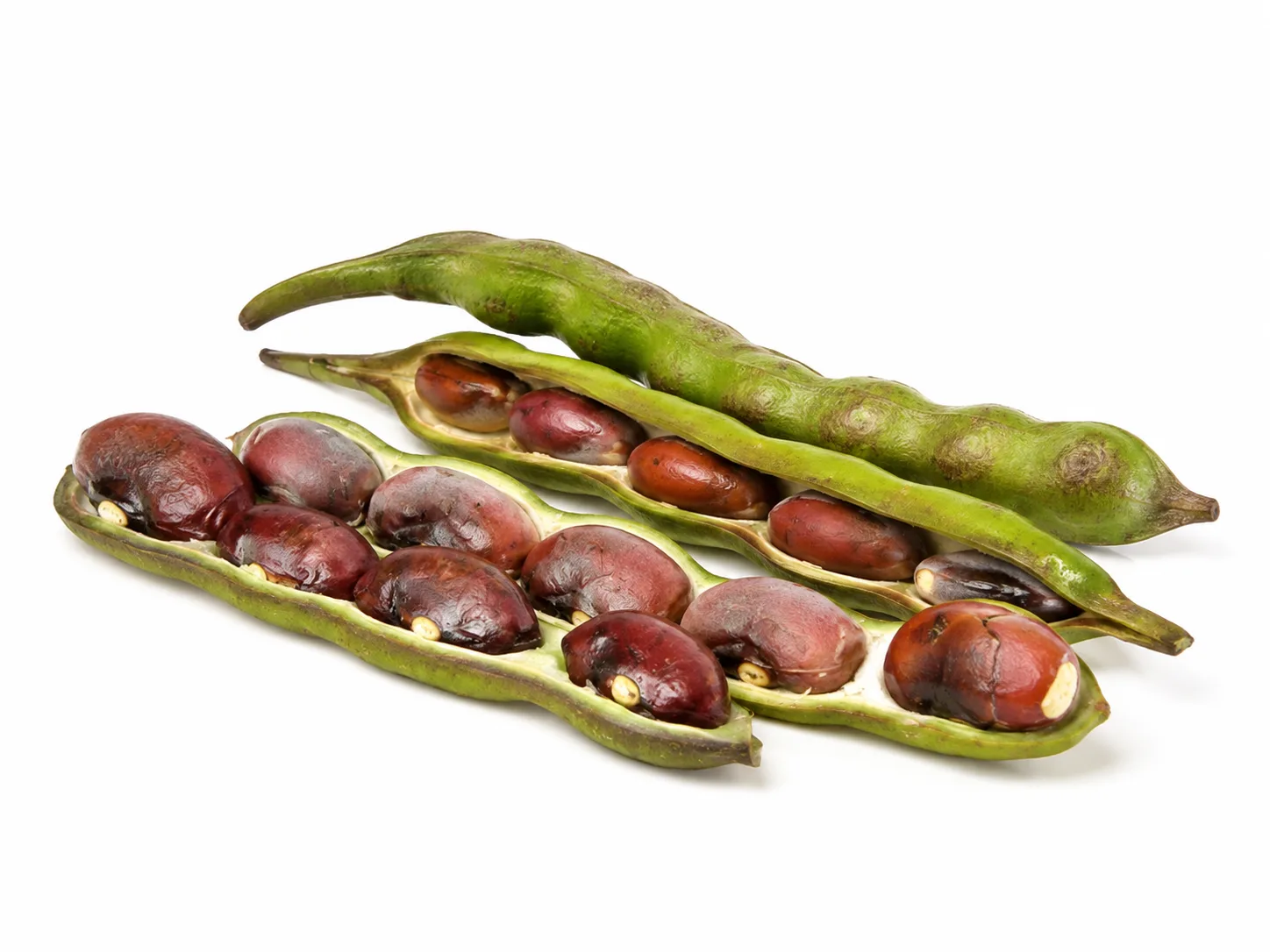 Chachafruto