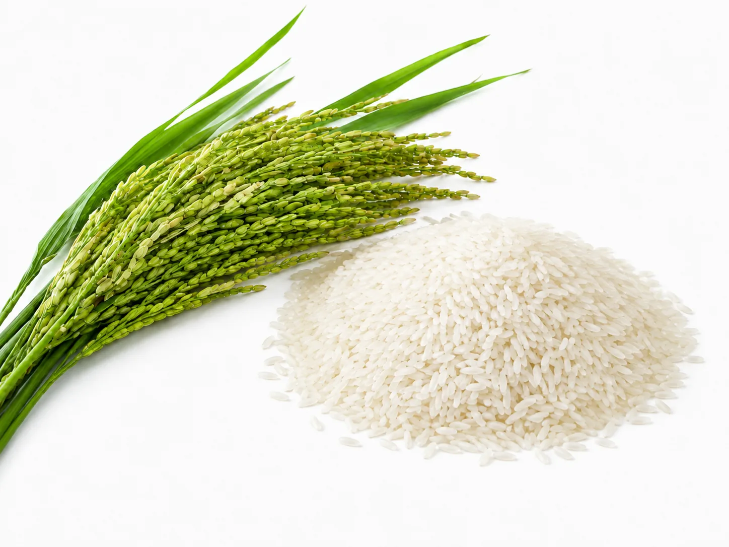 Arroz