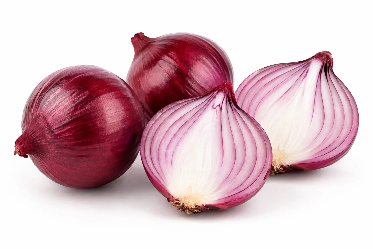 Cebolla cabezona