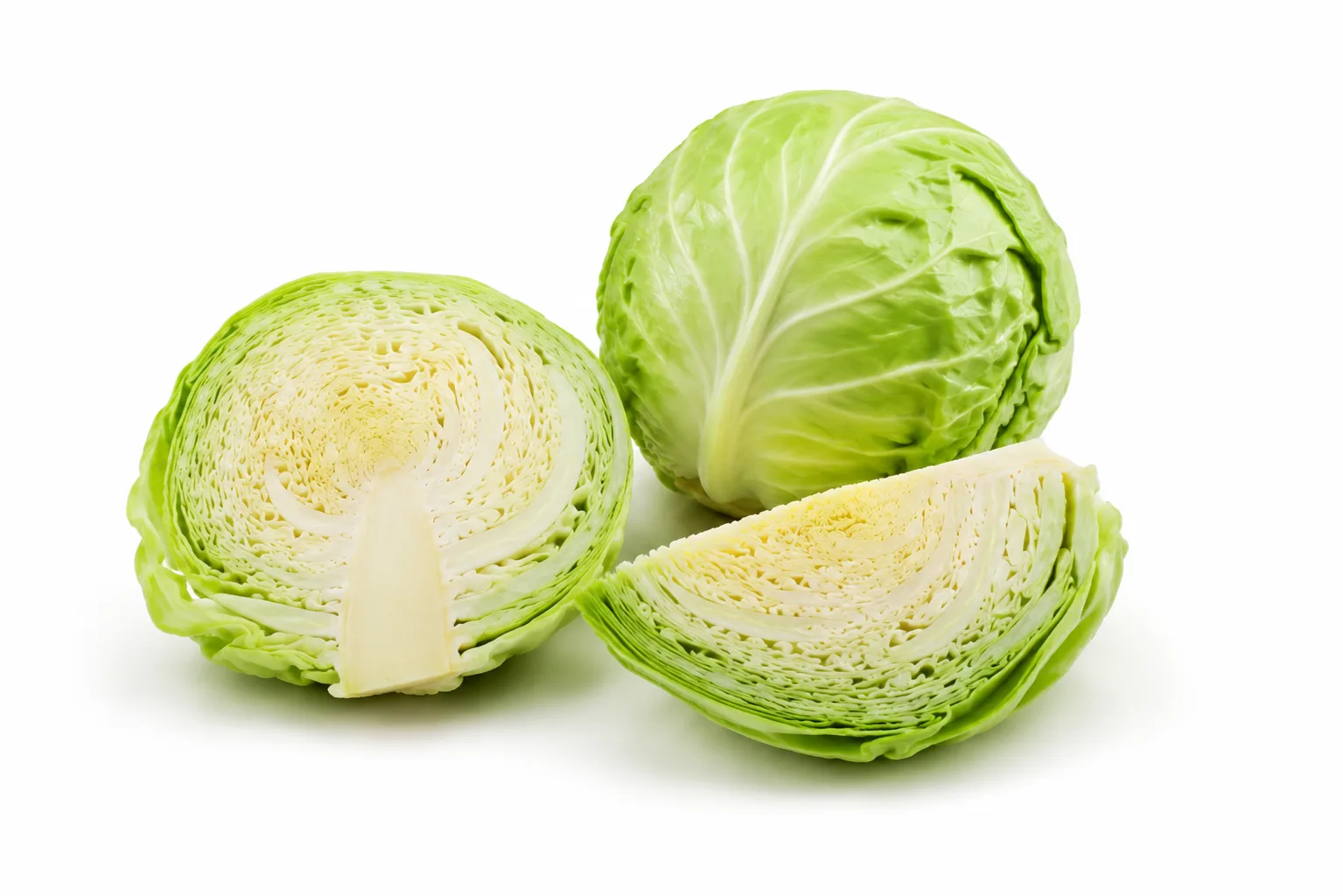 Col verde, Repollo