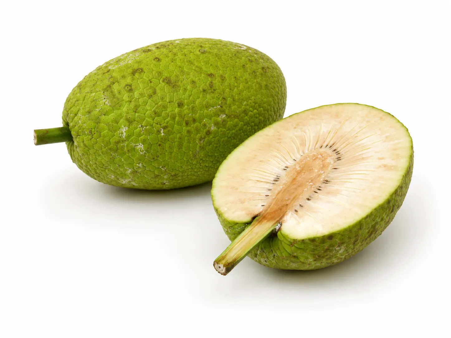 Fruto del pan